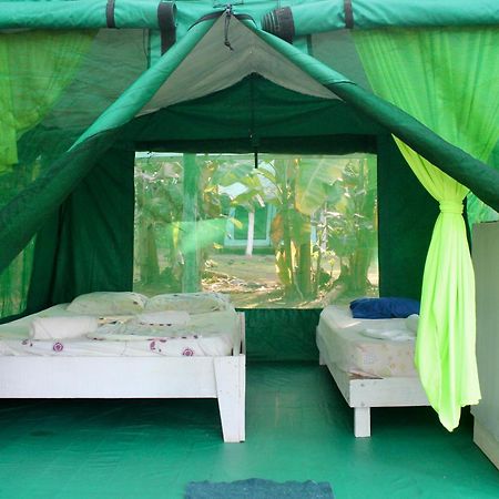 Life For Life Hostel Drake Bay Home Of Sea Turtle Marine Conservation Project Osa Peninsula Near San Josecito Beach Exterior photo