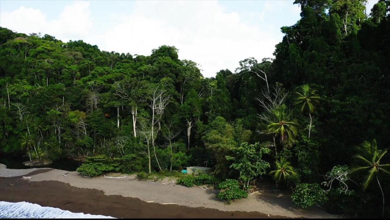 Life For Life Hostel Drake Bay Home Of Sea Turtle Marine Conservation Project Osa Peninsula Near San Josecito Beach Exterior photo