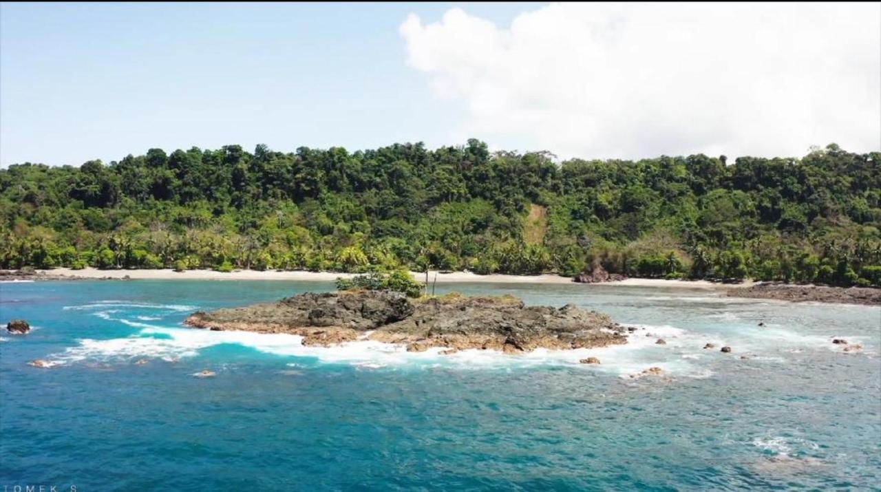 Life For Life Hostel Drake Bay Home Of Sea Turtle Marine Conservation Project Osa Peninsula Near San Josecito Beach Exterior photo