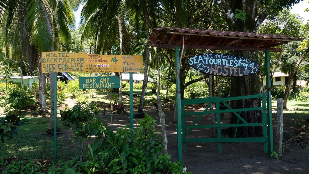 Life For Life Hostel Drake Bay Home Of Sea Turtle Marine Conservation Project Osa Peninsula Near San Josecito Beach Exterior photo