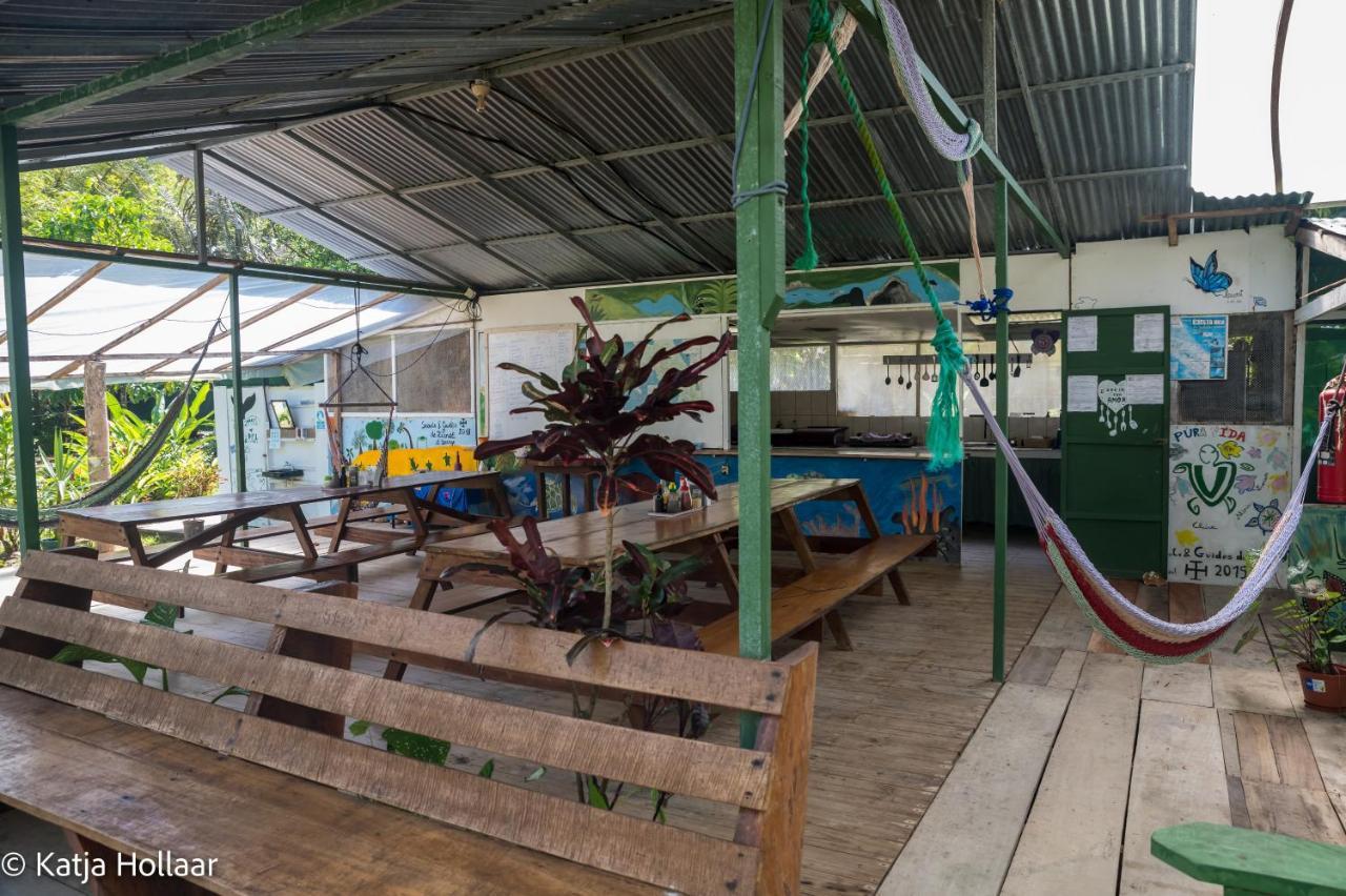Life For Life Hostel Drake Bay Home Of Sea Turtle Marine Conservation Project Osa Peninsula Near San Josecito Beach Exterior photo