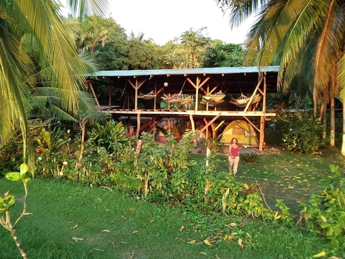 Life For Life Hostel Drake Bay Home Of Sea Turtle Marine Conservation Project Osa Peninsula Near San Josecito Beach Exterior photo