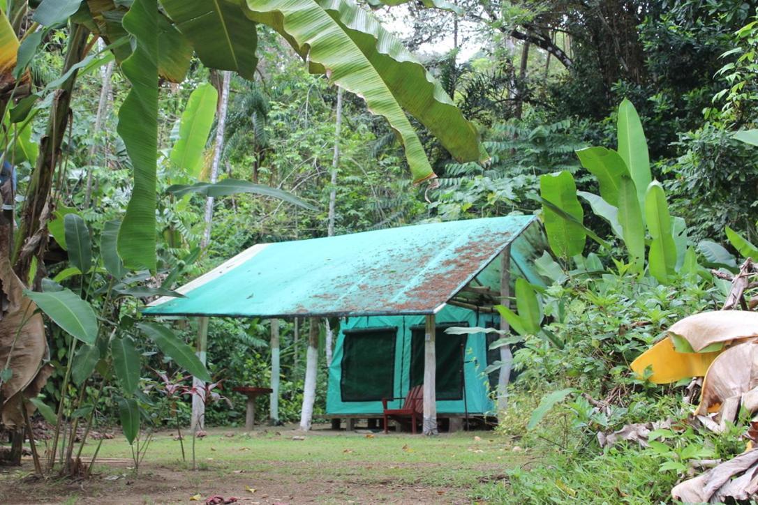 Life For Life Hostel Drake Bay Home Of Sea Turtle Marine Conservation Project Osa Peninsula Near San Josecito Beach Exterior photo