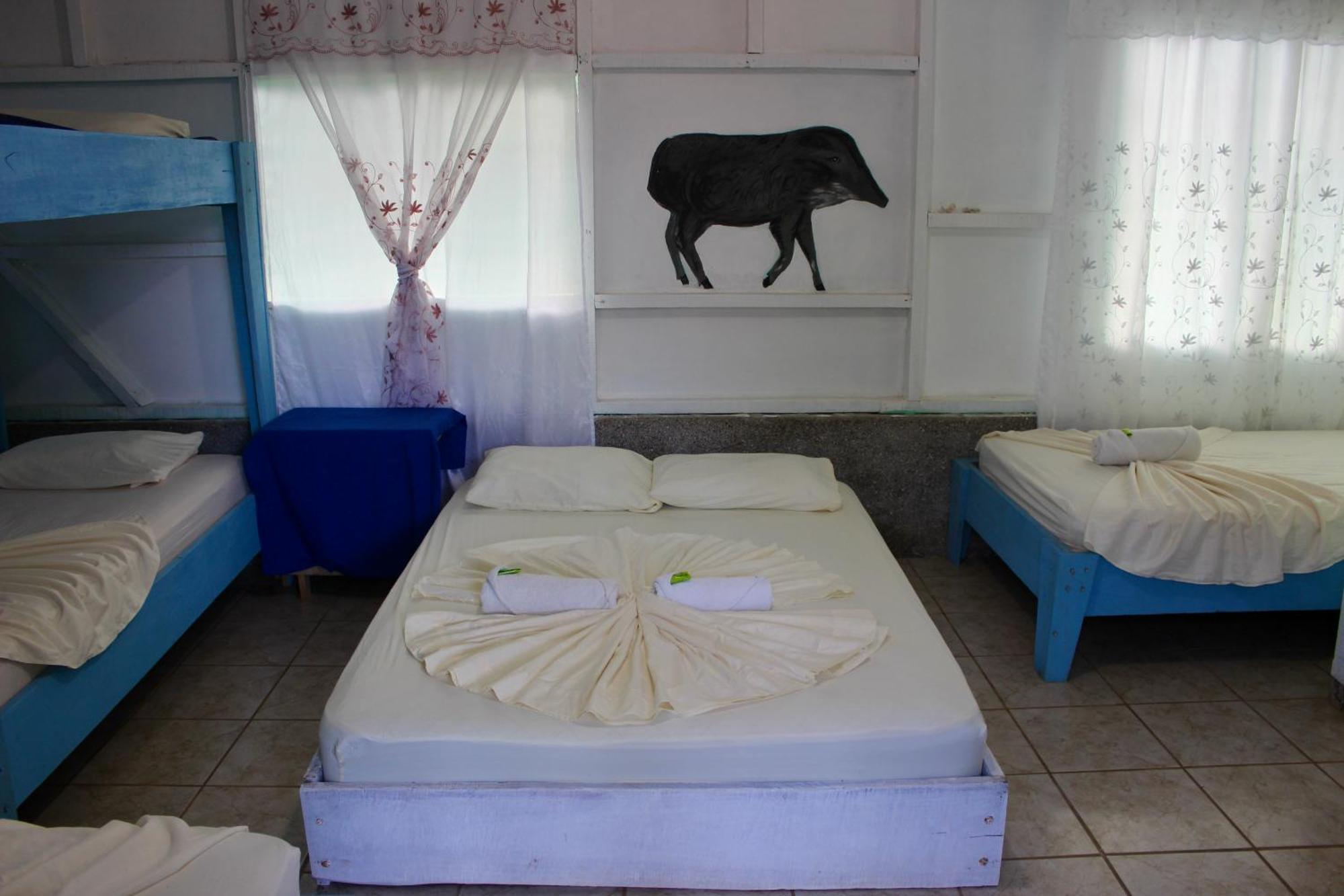 Life For Life Hostel Drake Bay Home Of Sea Turtle Marine Conservation Project Osa Peninsula Near San Josecito Beach Exterior photo