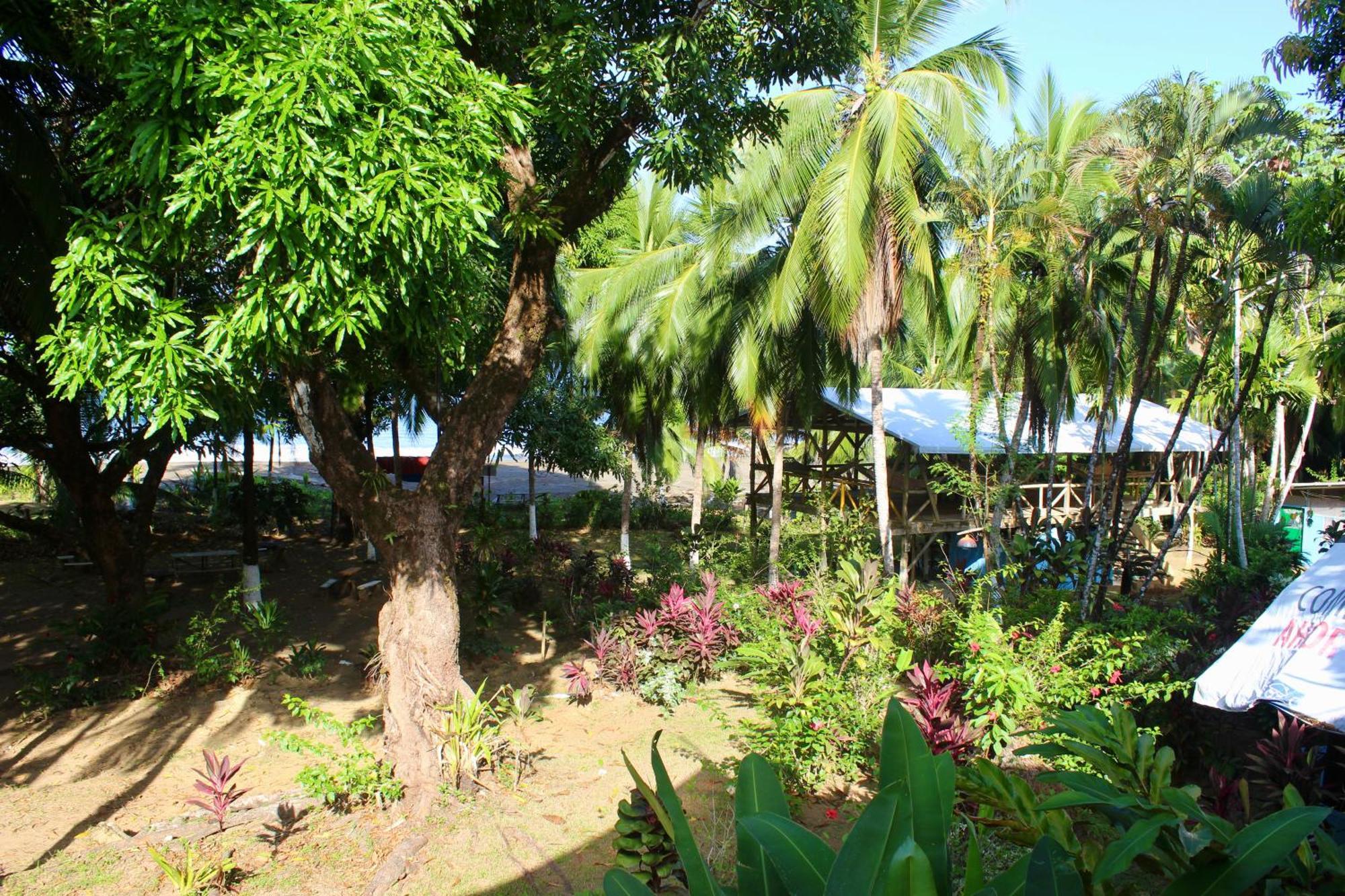 Life For Life Hostel Drake Bay Home Of Sea Turtle Marine Conservation Project Osa Peninsula Near San Josecito Beach Exterior photo