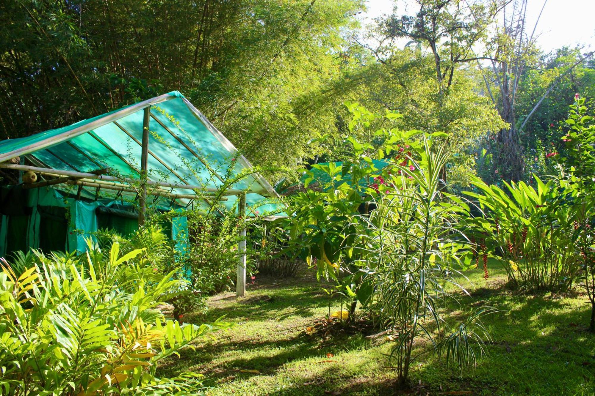 Life For Life Hostel Drake Bay Home Of Sea Turtle Marine Conservation Project Osa Peninsula Near San Josecito Beach Exterior photo