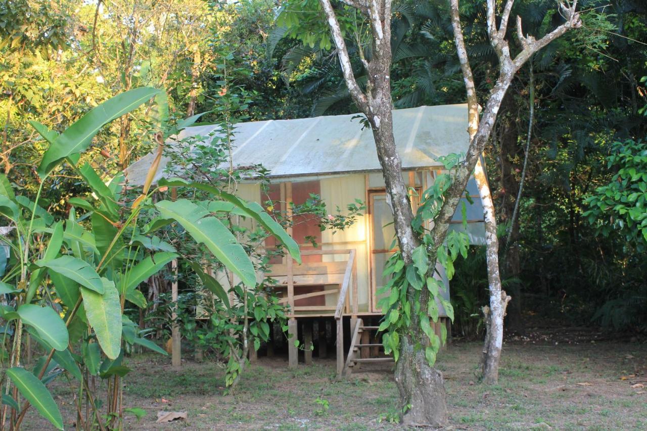 Life For Life Hostel Drake Bay Home Of Sea Turtle Marine Conservation Project Osa Peninsula Near San Josecito Beach Exterior photo