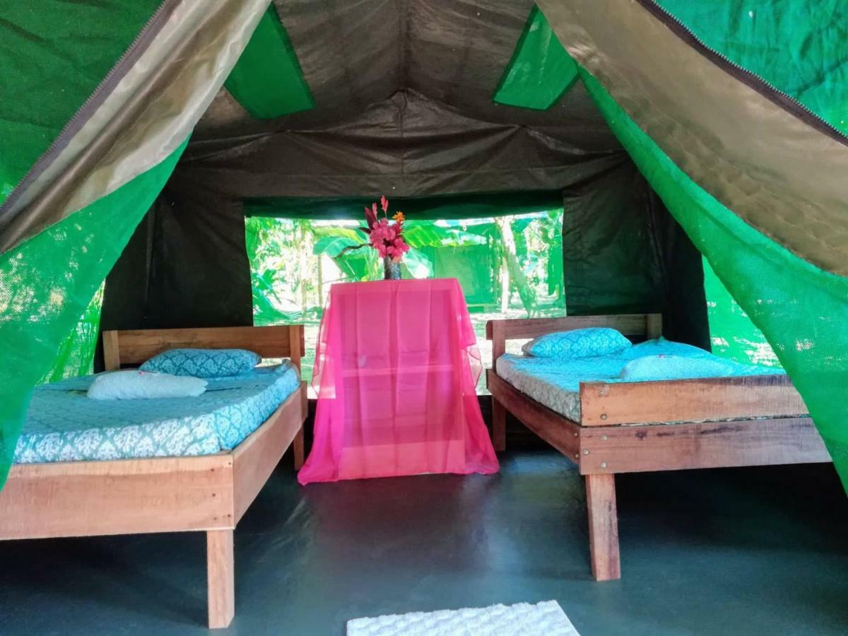 Life For Life Hostel Drake Bay Home Of Sea Turtle Marine Conservation Project Osa Peninsula Near San Josecito Beach Exterior photo
