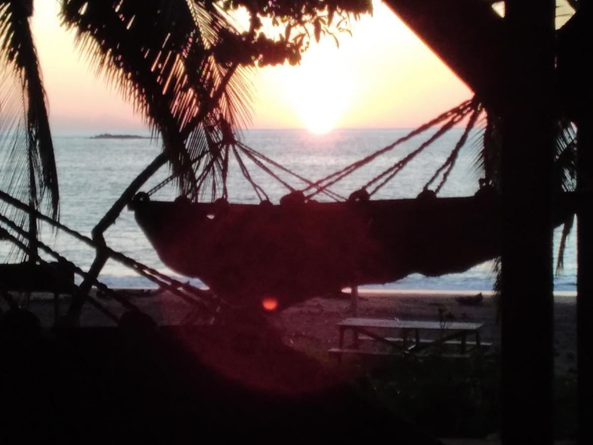 Life For Life Hostel Drake Bay Home Of Sea Turtle Marine Conservation Project Osa Peninsula Near San Josecito Beach Exterior photo